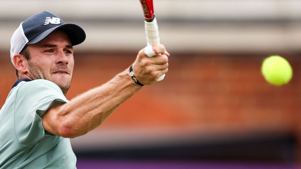 在这个故事 在这个故事